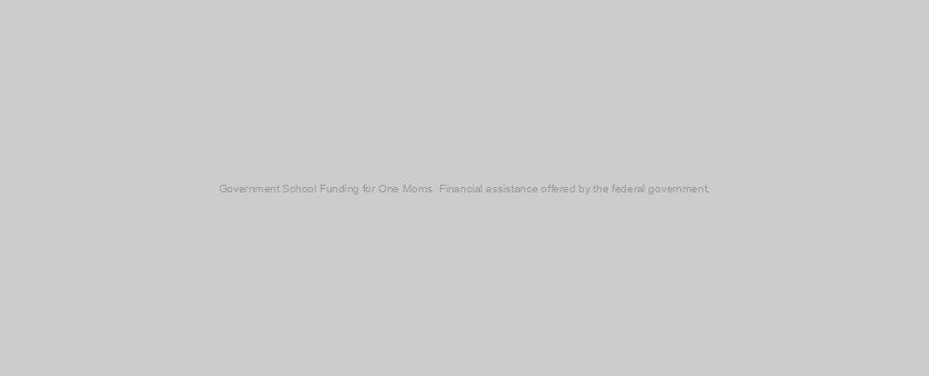 Government School Funding for One Moms. Financial assistance offered by the federal government.
